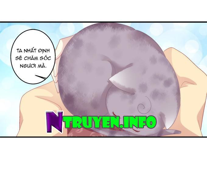 Dụ Hoặc Miêu Yêu Chapter 62 - Trang 2