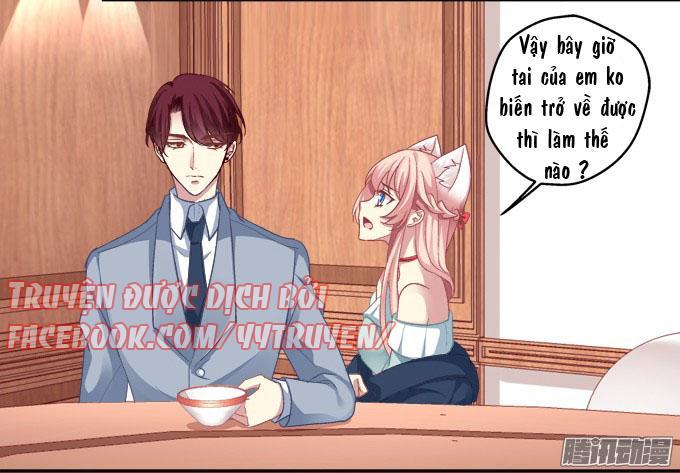 Dụ Hoặc Miêu Yêu Chapter 7 - Trang 2