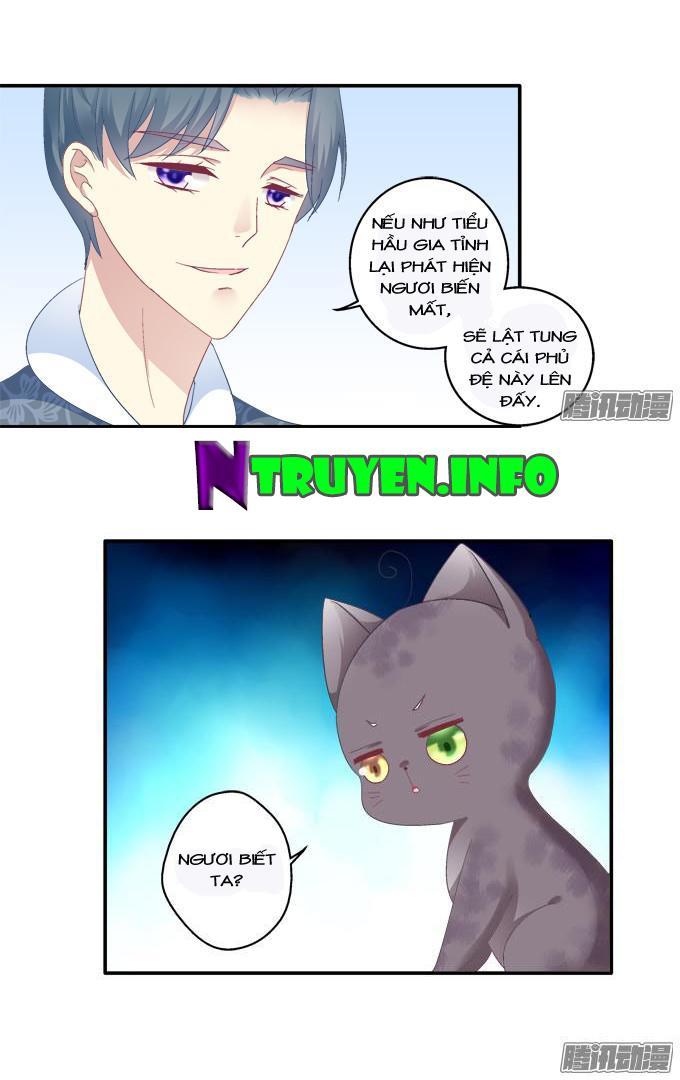 Dụ Hoặc Miêu Yêu Chapter 80 - Trang 2