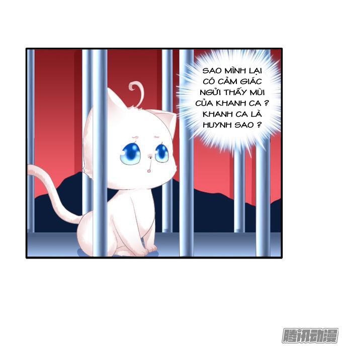 Dụ Hoặc Miêu Yêu Chapter 80 - Trang 2