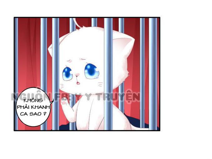 Dụ Hoặc Miêu Yêu Chapter 81 - Trang 2