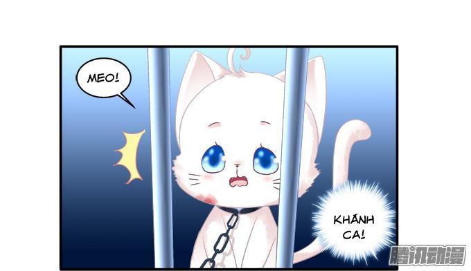 Dụ Hoặc Miêu Yêu Chapter 82 - Trang 2