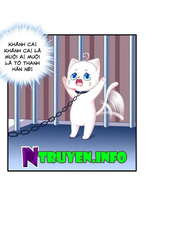 Dụ Hoặc Miêu Yêu Chapter 82 - Trang 2