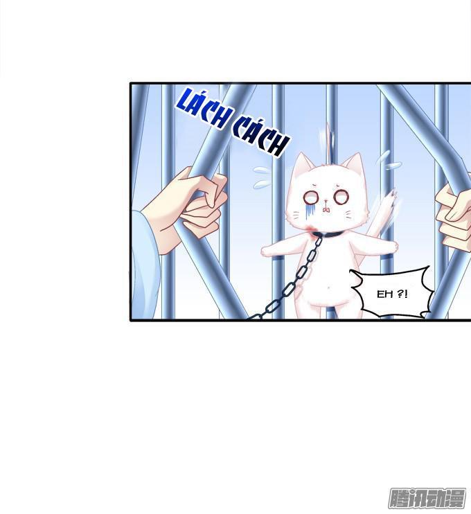 Dụ Hoặc Miêu Yêu Chapter 82 - Trang 2