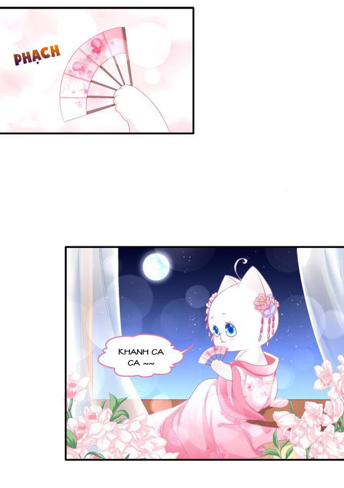 Dụ Hoặc Miêu Yêu Chapter 84 - Trang 2
