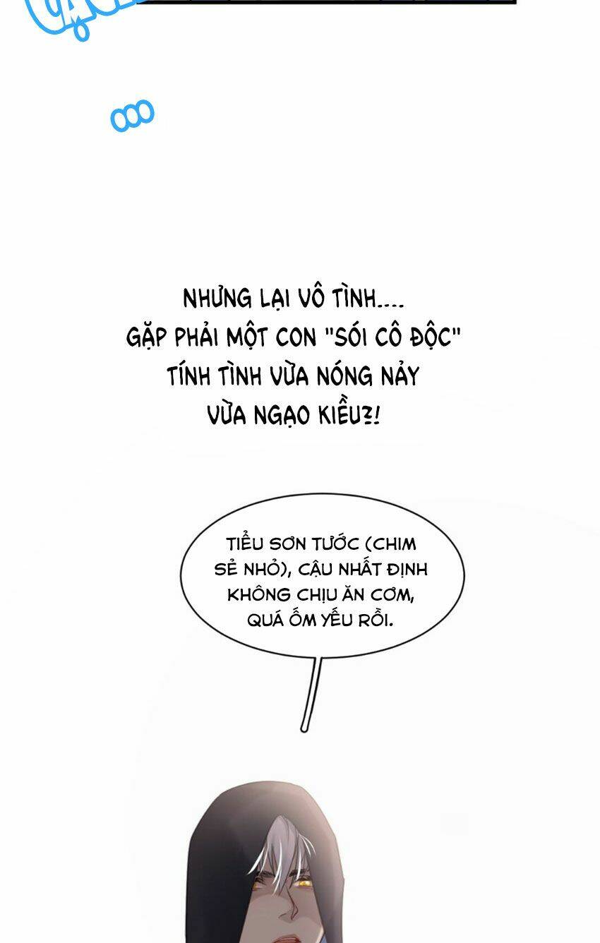 Dù Là Sói Cô Độc Cũng Có Tình Yêu Của Sẻ Nhỏ Chapter 0 - Trang 2