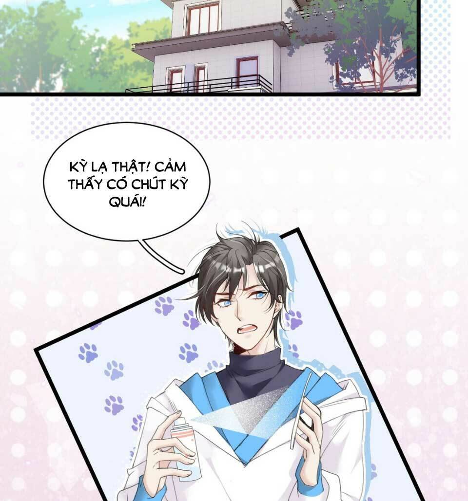 Dù Là Sói Cô Độc Cũng Có Tình Yêu Của Sẻ Nhỏ Chapter 5 - Trang 2