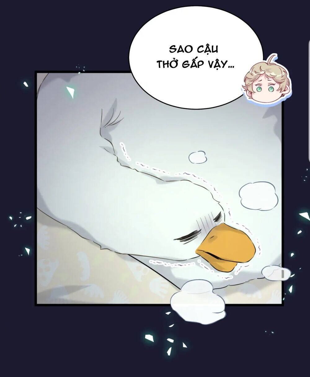 Đứa Bé Là Của Ai ???? Chapter 129 - Trang 2