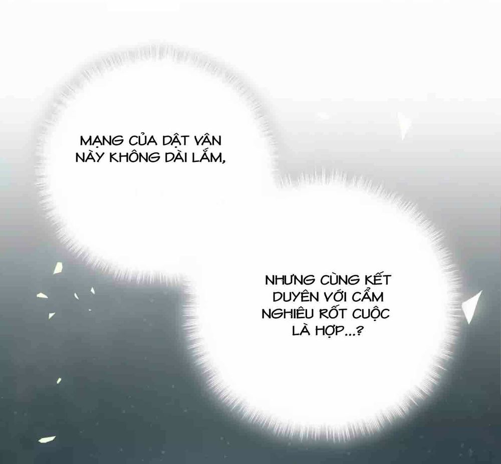 Đứa Bé Là Của Ai ???? Chapter 29 - Trang 2