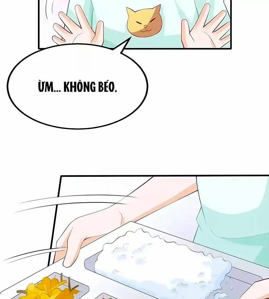 Đưa Mami Về Nhà Chapter 141 - Trang 2