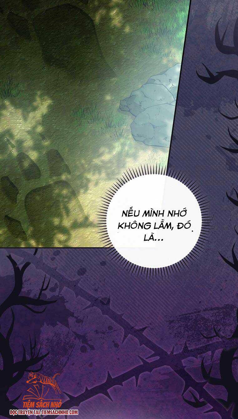 Đứa Nhỏ Không Phải Là Con Anh Chapter 27 - Trang 2