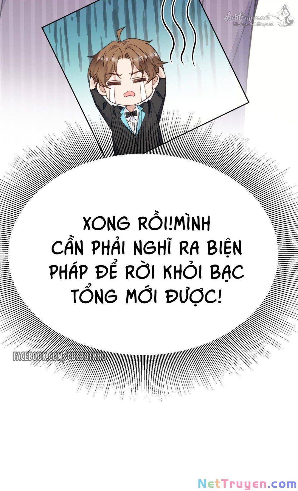 Dựa Vào Đại Lão Ổn Định Vị Trí C Trong Nam Đoàn Chapter 18 - Trang 2