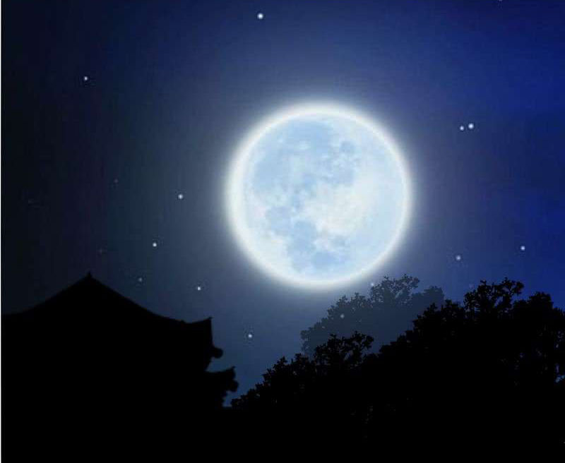 Dục Huyết Thương Hậu Chapter 107 - Trang 2