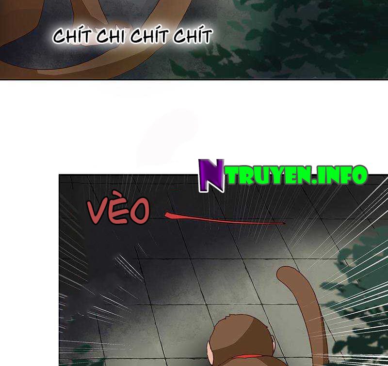 Dục Huyết Thương Hậu Chapter 70 - Trang 2