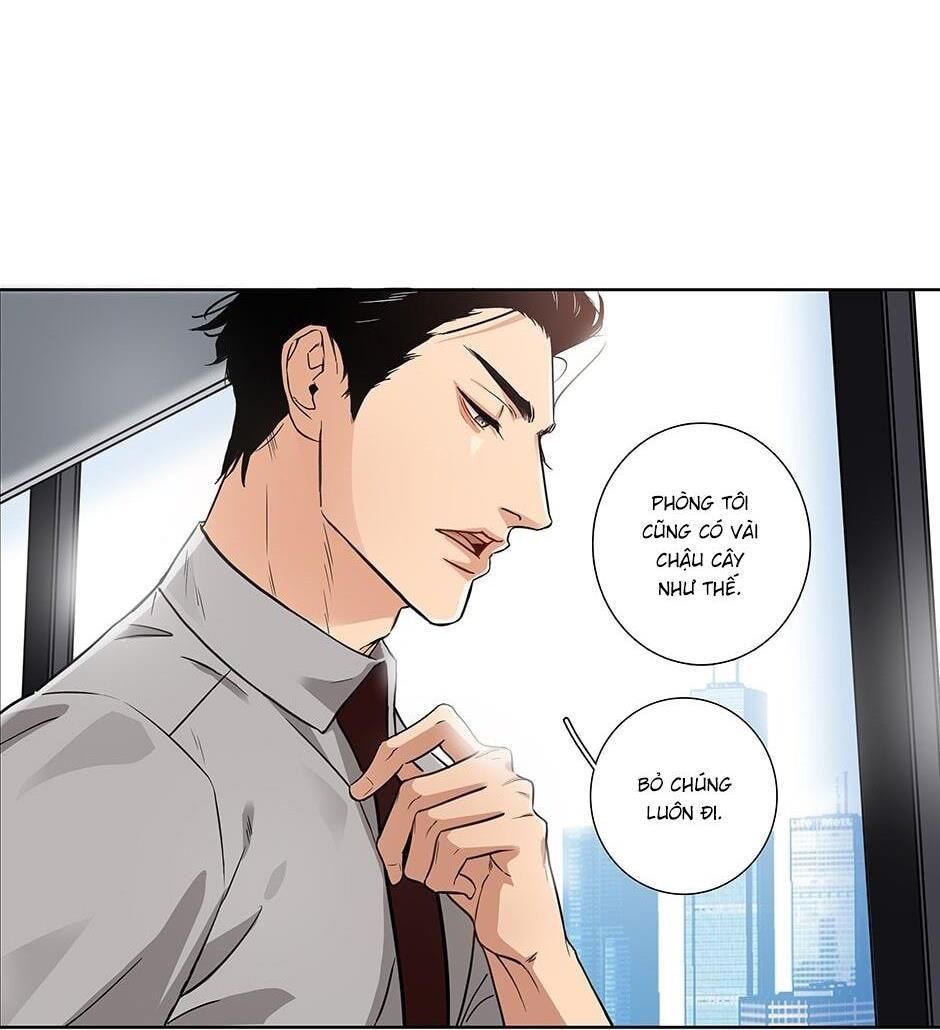 Đừng Chạm Vào Tim Tôi Chapter 1 - Trang 2