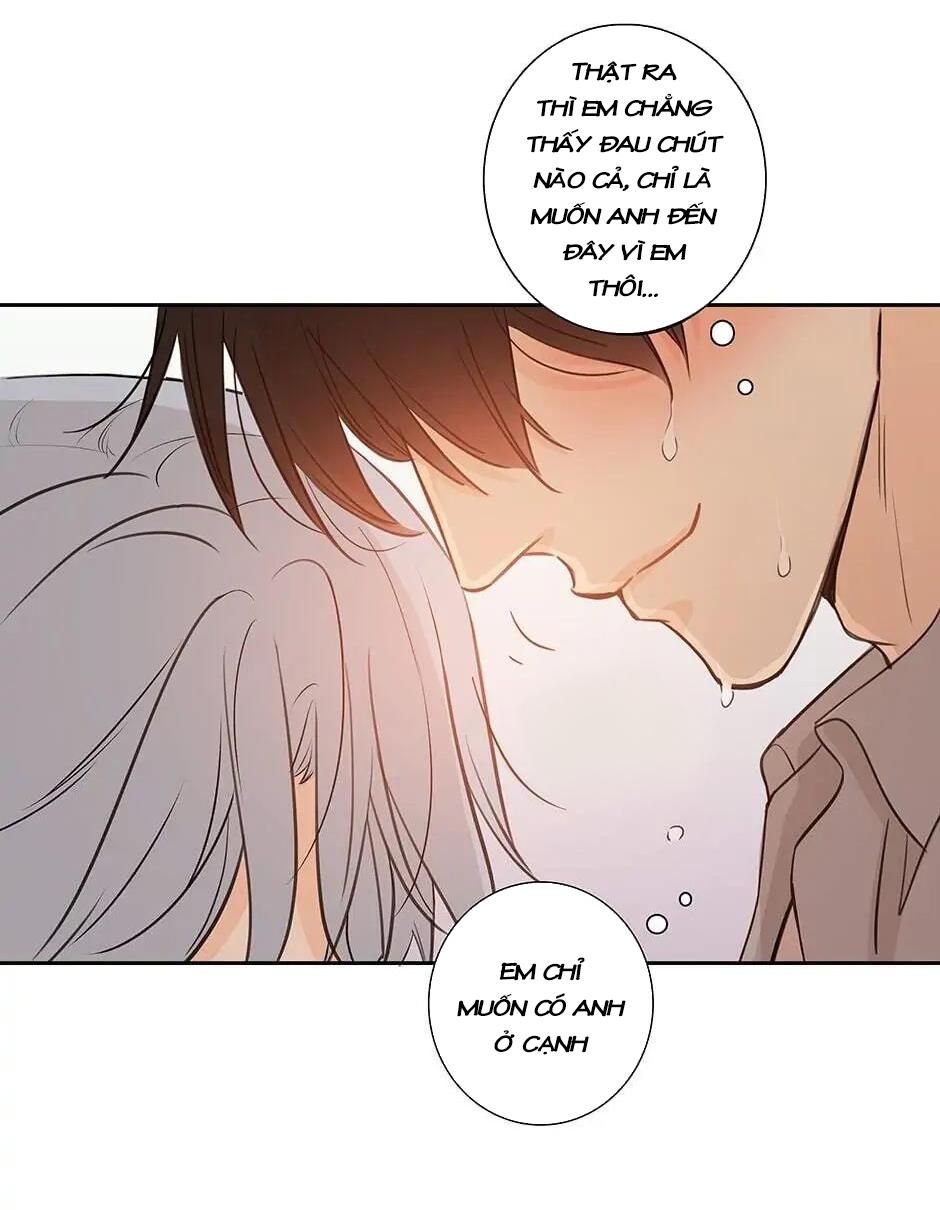 Đừng Chạm Vào Tim Tôi Chapter 42 - Trang 2