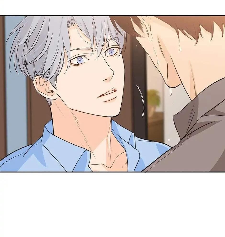 Đừng Chạm Vào Tim Tôi Chapter 42 - Trang 2
