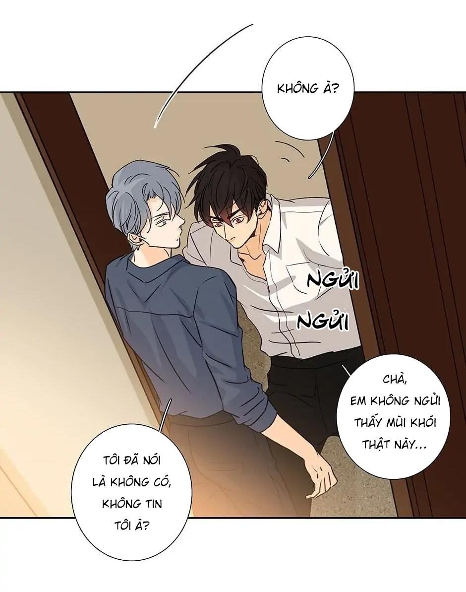 Đừng Chạm Vào Tim Tôi Chapter 44 - Trang 2