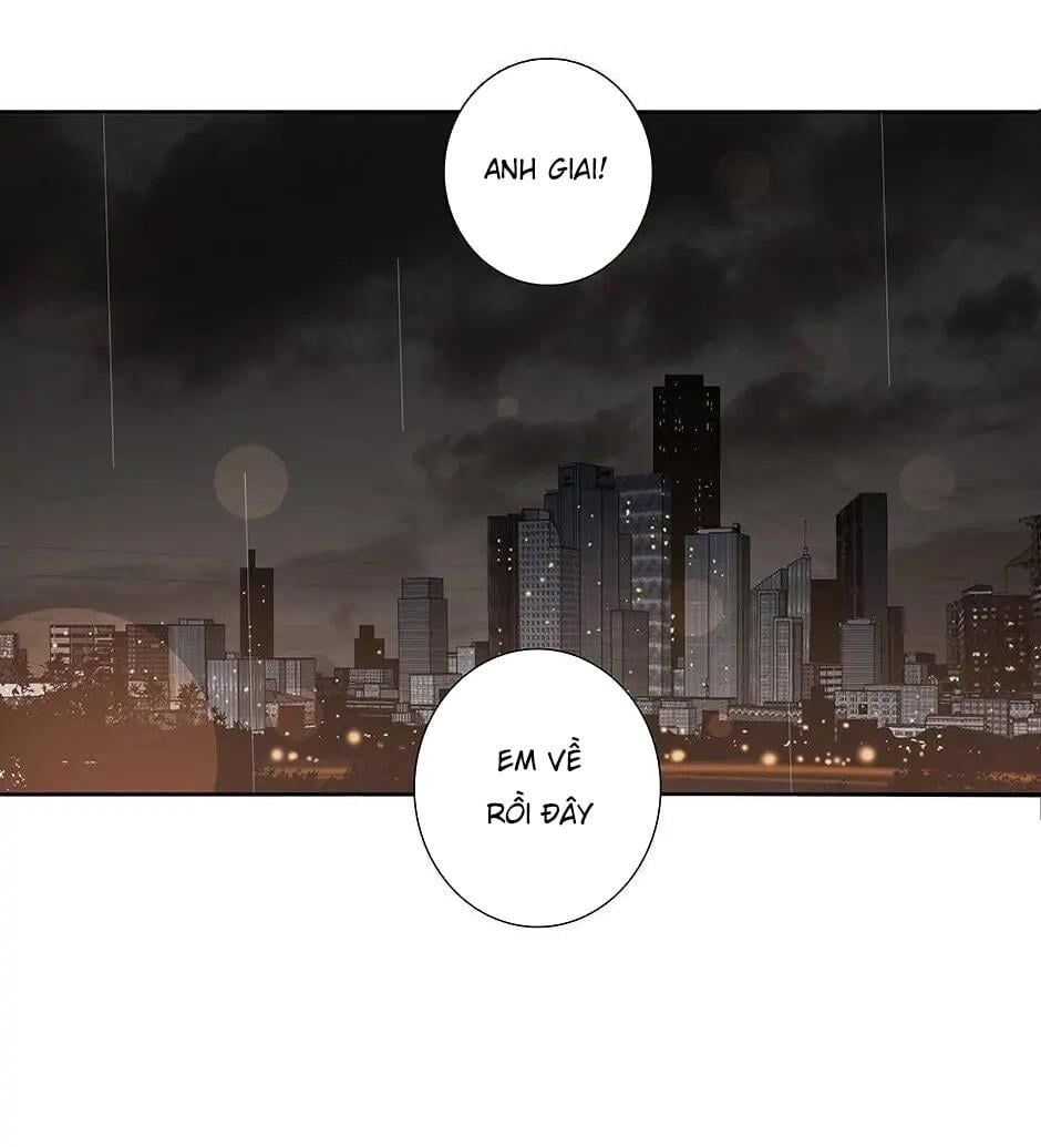 Đừng Chạm Vào Tim Tôi Chapter 45 - Trang 2