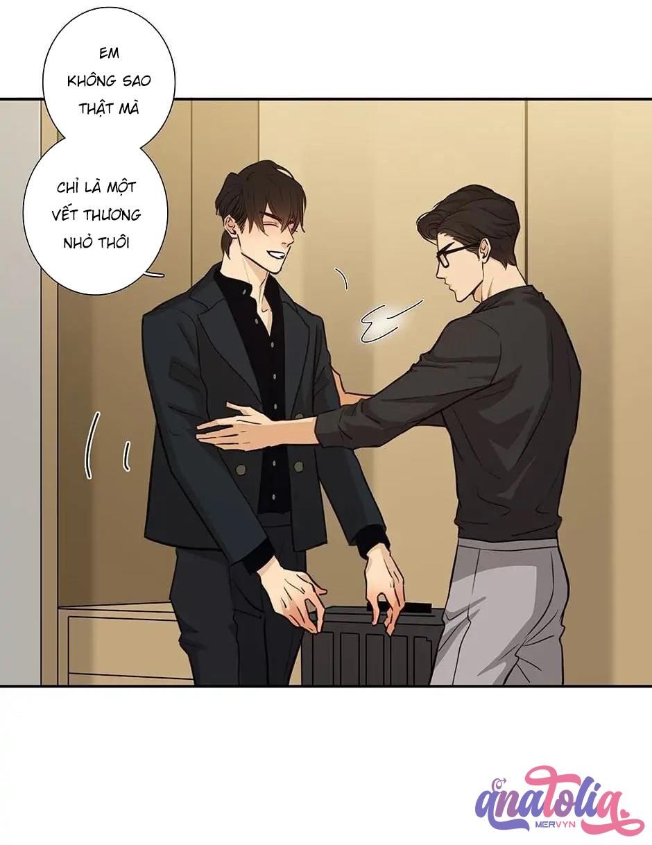 Đừng Chạm Vào Tim Tôi Chapter 45 - Trang 2