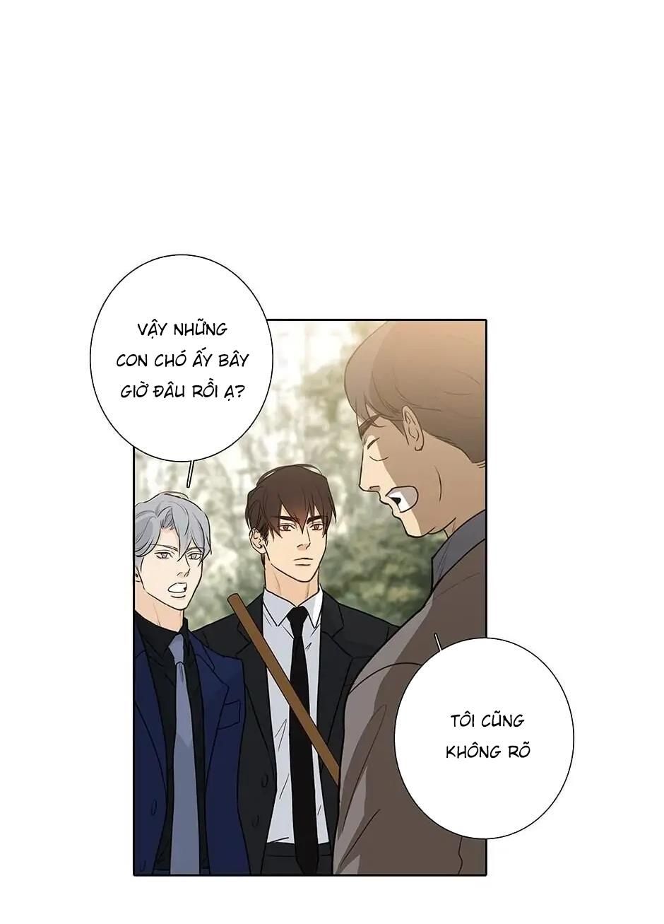 Đừng Chạm Vào Tim Tôi Chapter 46 - Trang 2
