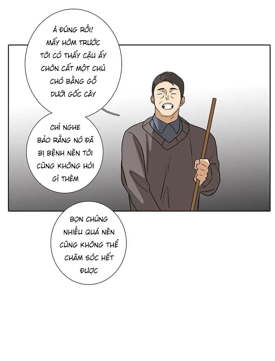 Đừng Chạm Vào Tim Tôi Chapter 46 - Trang 2