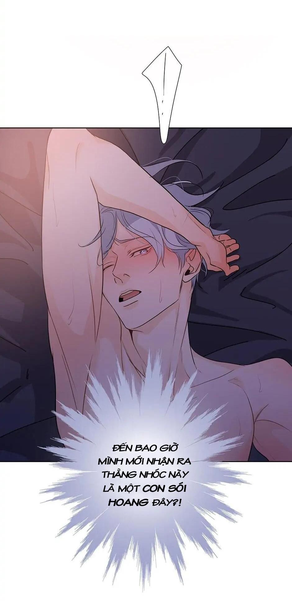 Đừng Chạm Vào Tim Tôi Chapter 51 - Trang 2