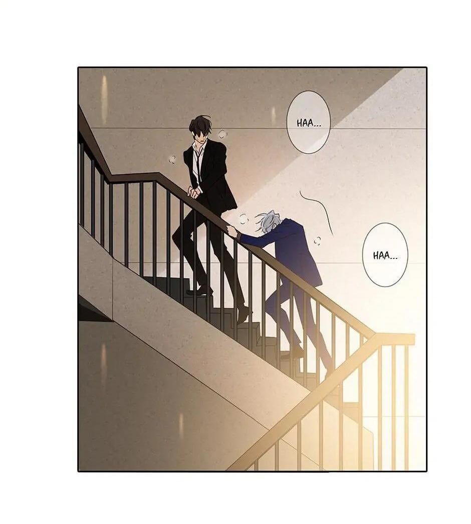 Đừng Chạm Vào Tim Tôi Chapter 51 - Trang 2