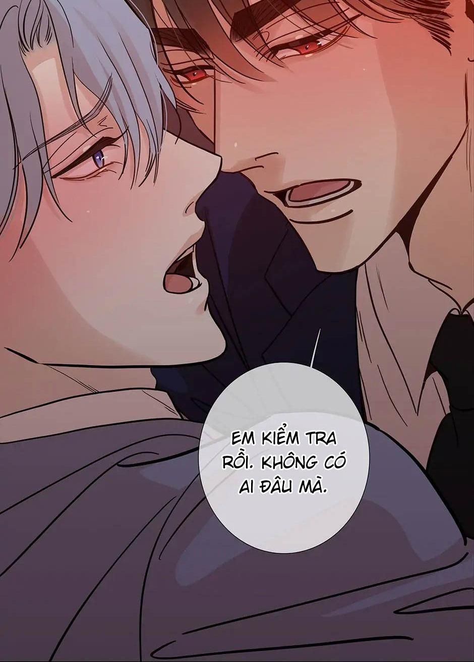 Đừng Chạm Vào Tim Tôi Chapter 71 - Trang 2
