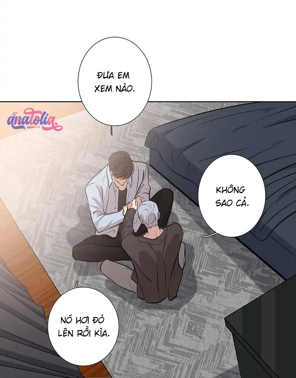 Đừng Chạm Vào Tim Tôi Chapter 78 - Trang 2