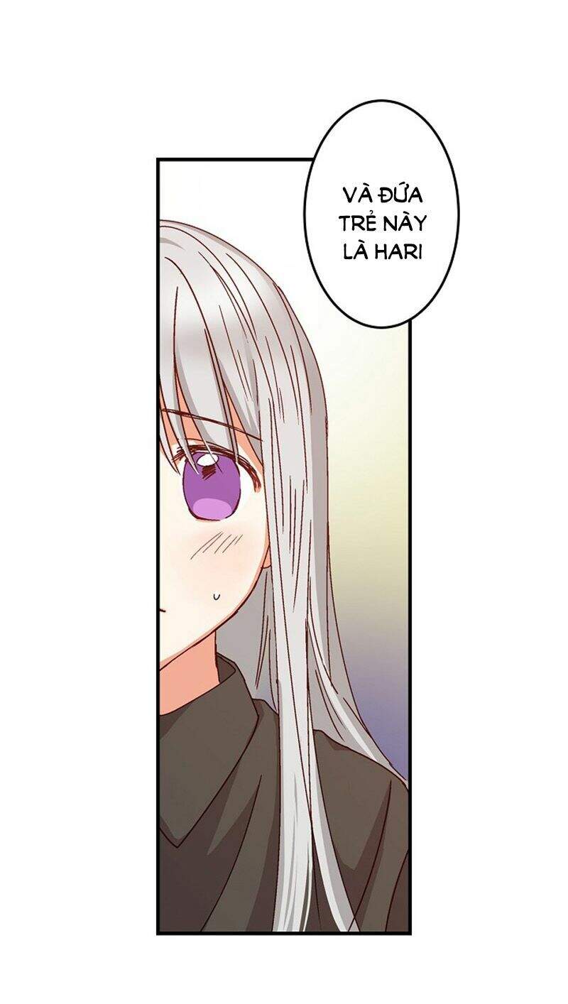 Đừng Chọc Đứa Em Gái Bé Bỏng Của Chúng Tôi Chapter 2 - Trang 2