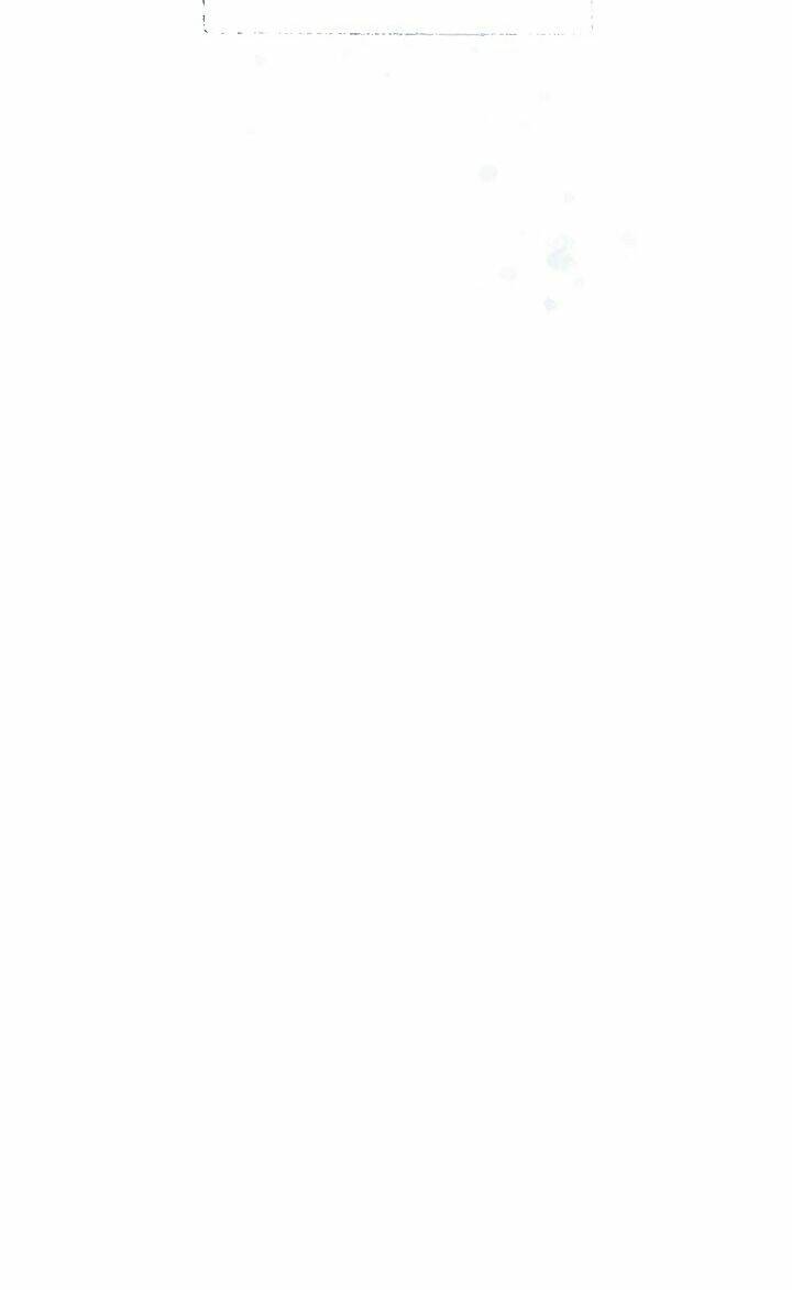 Đừng Chọc Đứa Em Gái Bé Bỏng Của Chúng Tôi Chapter 50 - Trang 2