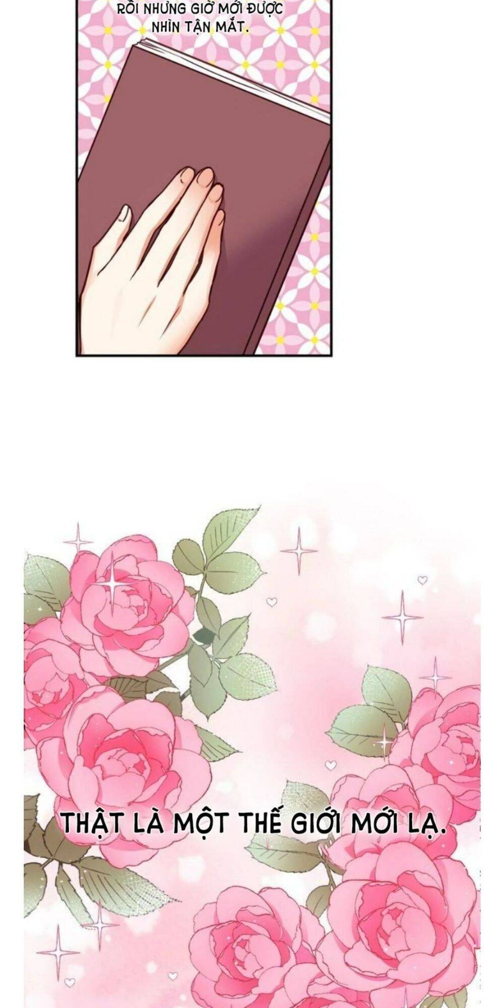 Đừng Chọc Đứa Em Gái Bé Bỏng Của Chúng Tôi Chapter 60 - Trang 2