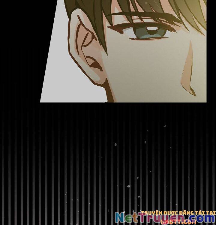 Đừng Chọc Đứa Em Gái Bé Bỏng Của Chúng Tôi Chapter 70 - Trang 2