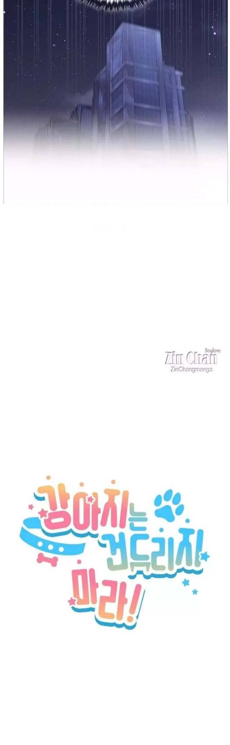 Đừng Đùa Với Cún Con Chapter 49 - Trang 2