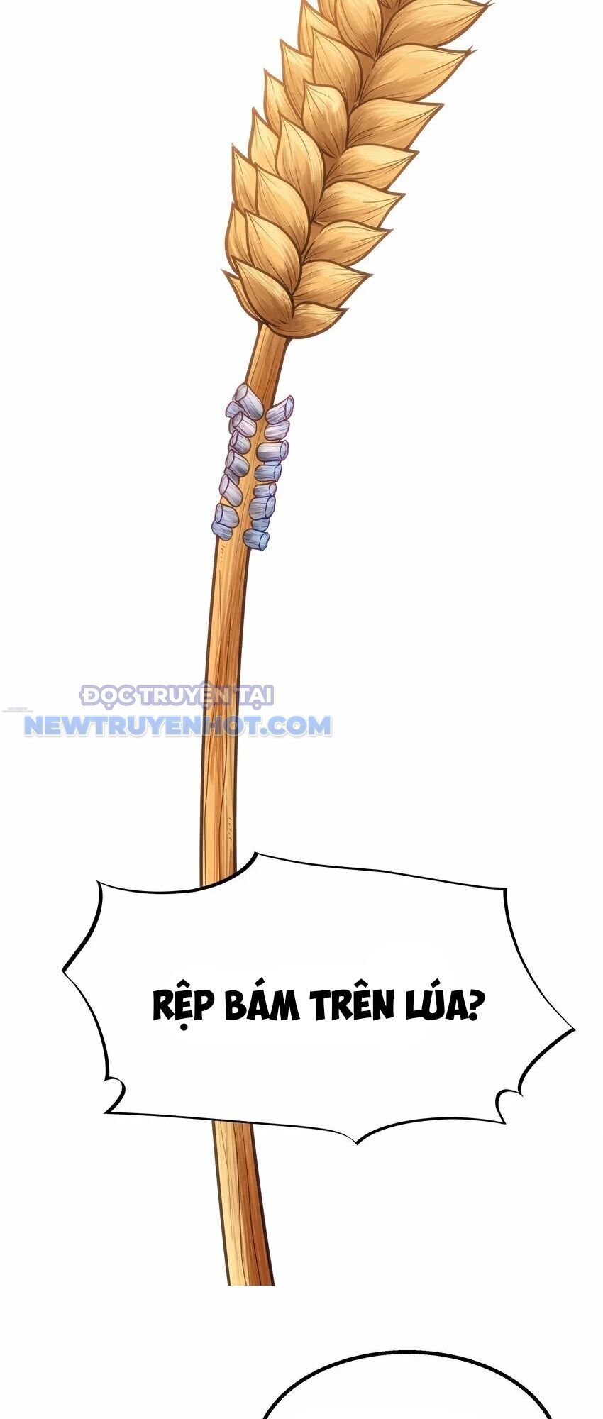 Dũng Giả Này Là Người Theo Chủ Nghĩa Tiền Tài Chí Thượng Chapter 22 - Trang 2