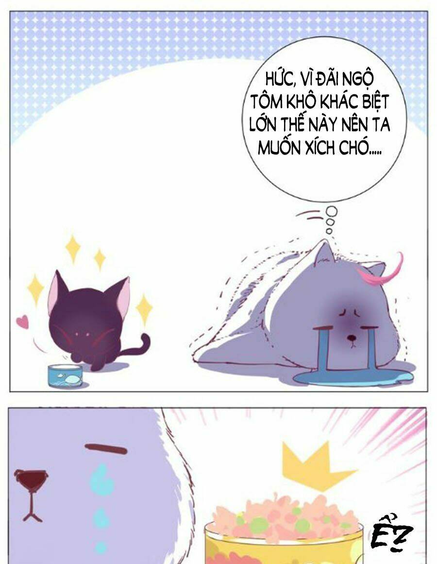 Đừng Nghịch, Ta Chỉ Muốn Yên Tĩnh Chapter 1 - Trang 2