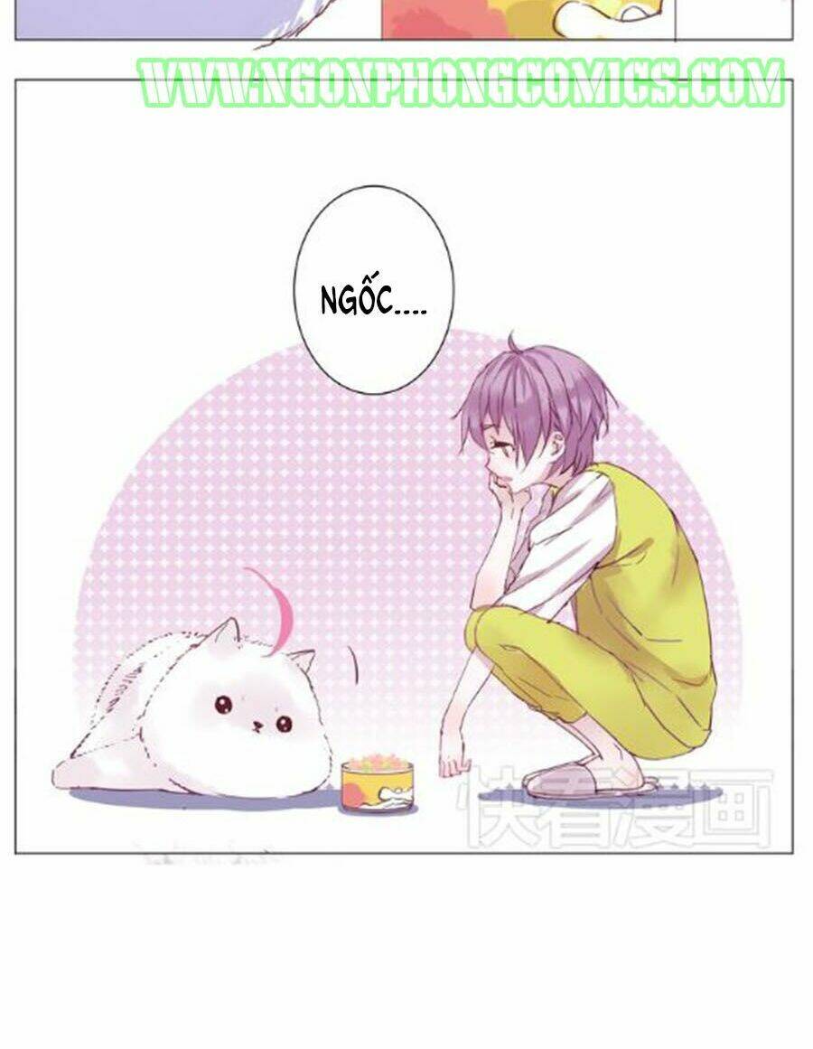 Đừng Nghịch, Ta Chỉ Muốn Yên Tĩnh Chapter 1 - Trang 2