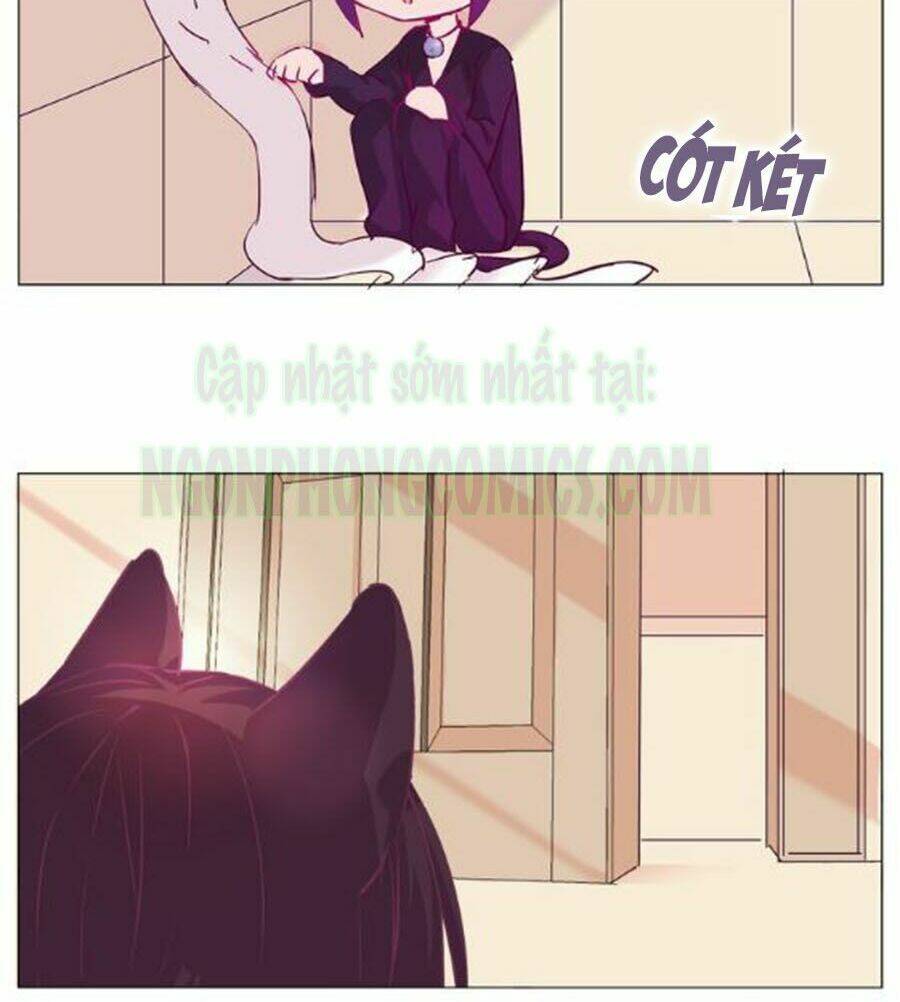 Đừng Nghịch, Ta Chỉ Muốn Yên Tĩnh Chapter 13 - Trang 2
