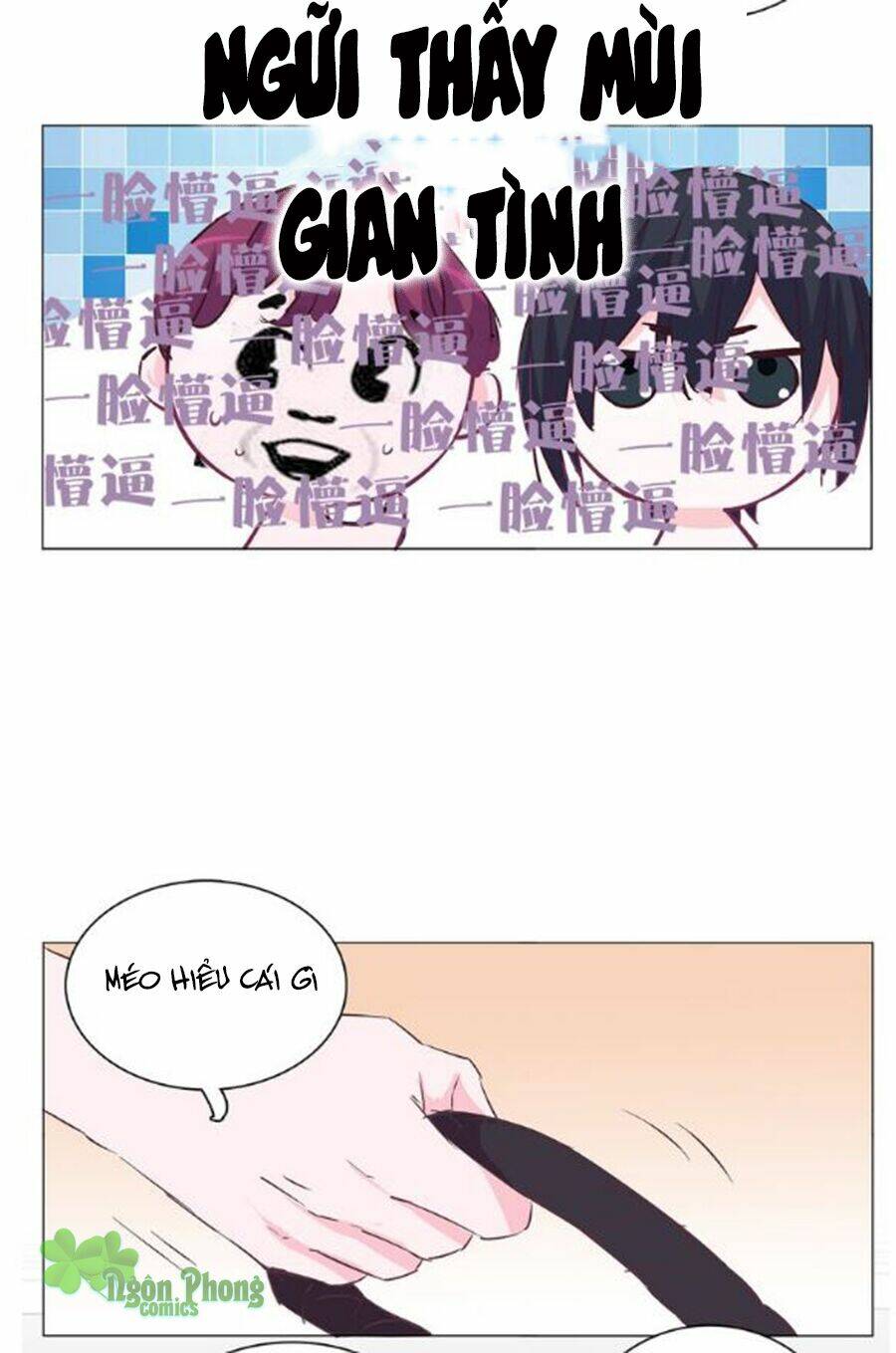 Đừng Nghịch, Ta Chỉ Muốn Yên Tĩnh Chapter 24 - Trang 2