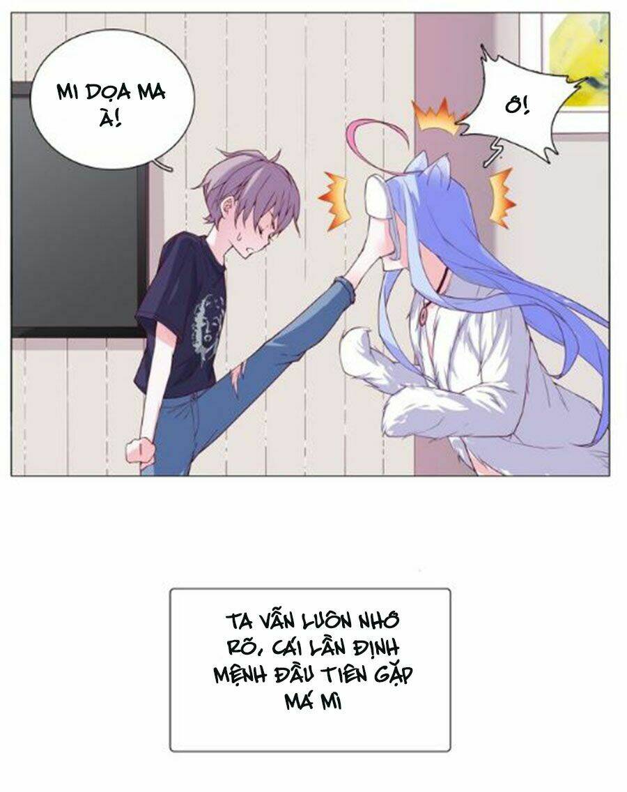 Đừng Nghịch, Ta Chỉ Muốn Yên Tĩnh Chapter 4 - Trang 2