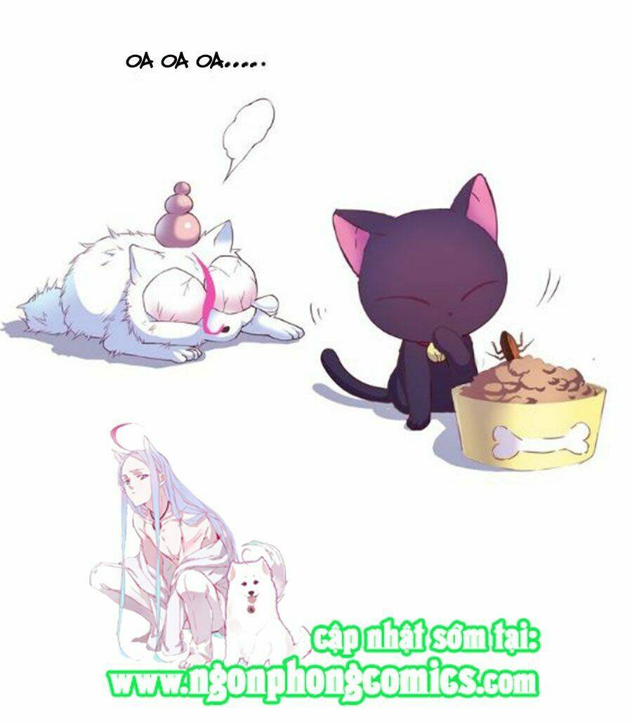 Đừng Nghịch, Ta Chỉ Muốn Yên Tĩnh Chapter 4 - Trang 2