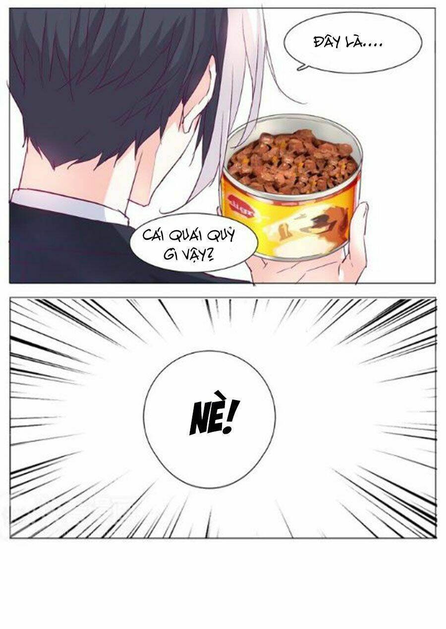 Đừng Nghịch, Ta Chỉ Muốn Yên Tĩnh Chapter 6 - Trang 2