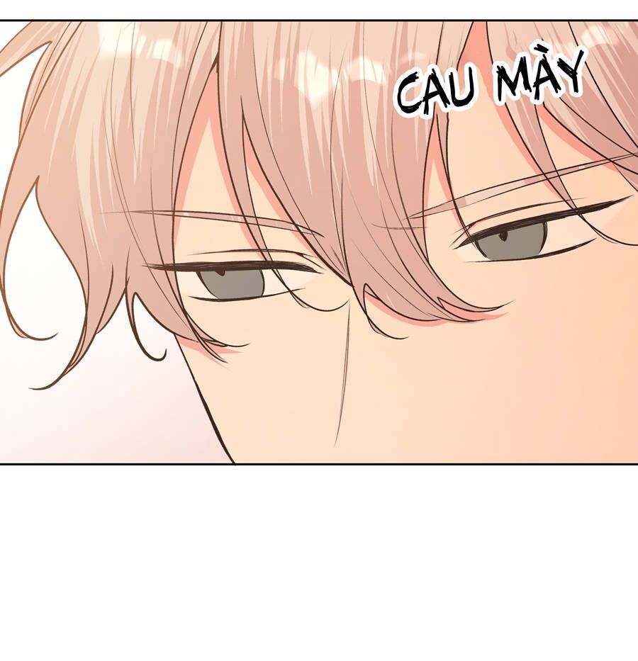 Đừng Nói Yêu Tôi Chapter 26 - Trang 2
