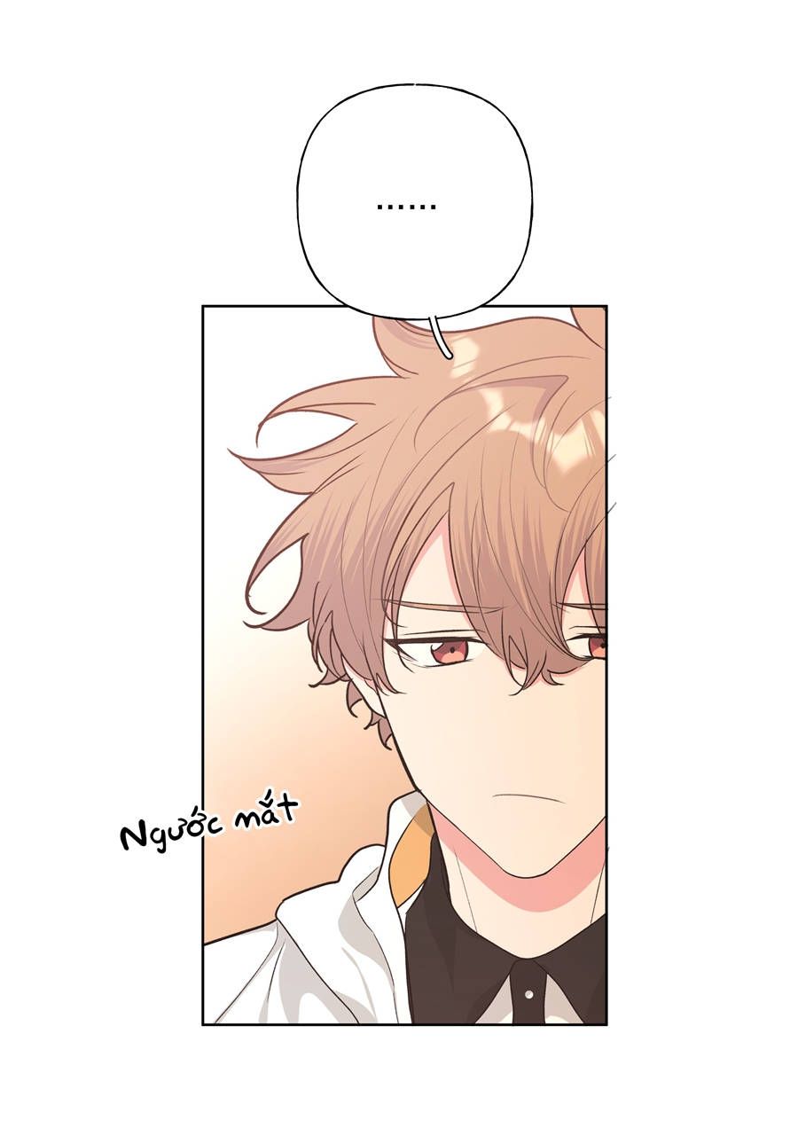 Đừng Nói Yêu Tôi Chapter 29 - Trang 2