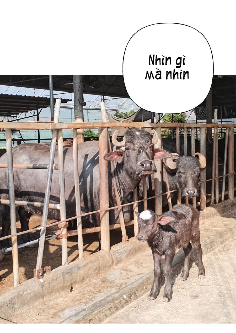 Đừng Nói Yêu Tôi Chapter 33.1 - Trang 2