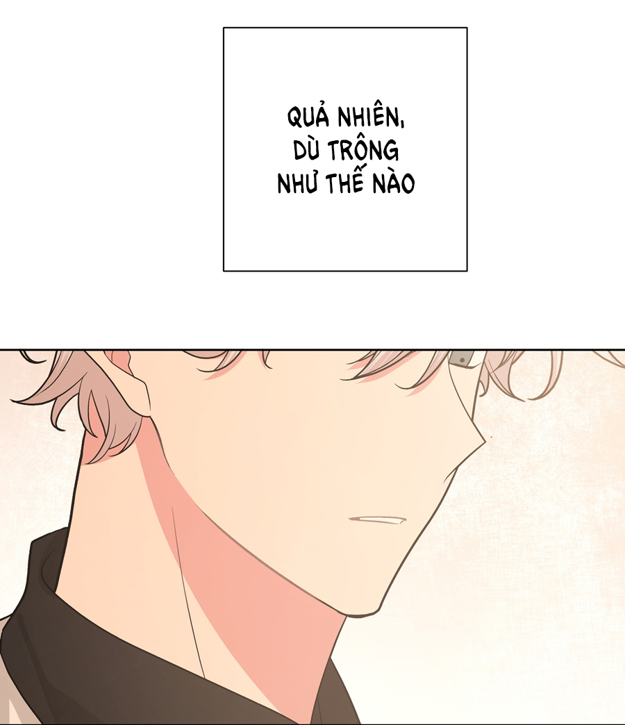 Đừng Nói Yêu Tôi Chapter 40 - Trang 2