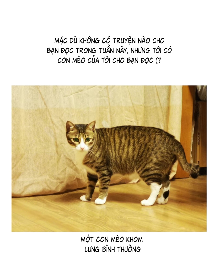 Đừng Nói Yêu Tôi Chapter 52.1 - Trang 2