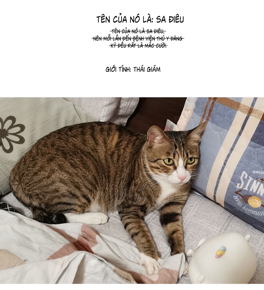 Đừng Nói Yêu Tôi Chapter 52.1 - Trang 2