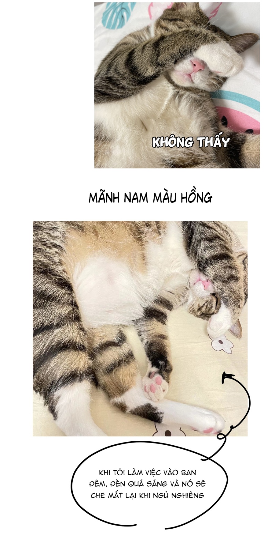 Đừng Nói Yêu Tôi Chapter 52.5 - Trang 2